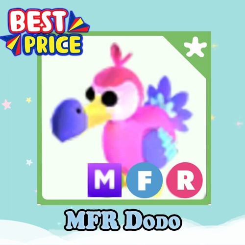 MFR Dodo - Adopt right now