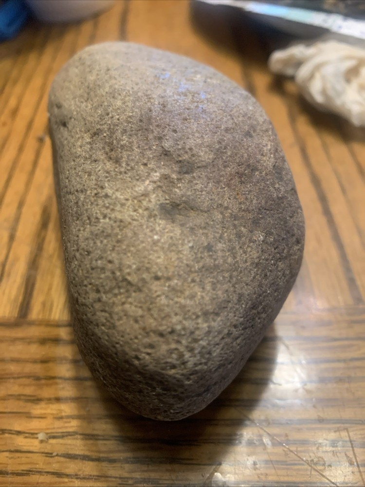 Fossils
