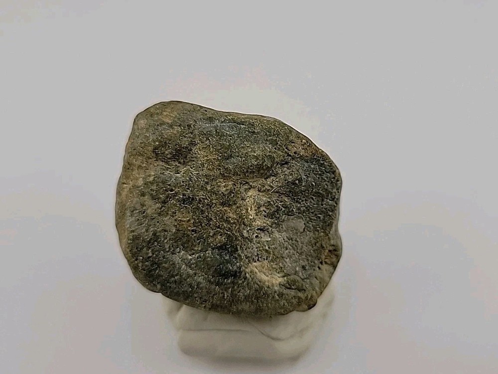 Real Permineralized Dinosaur Half Egg Embro Uv Reactive