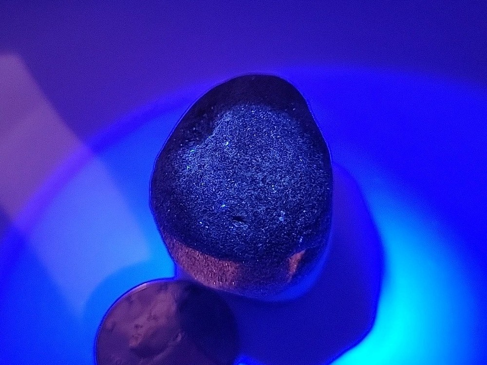 Real Permineralized Reptile Egg Fossil