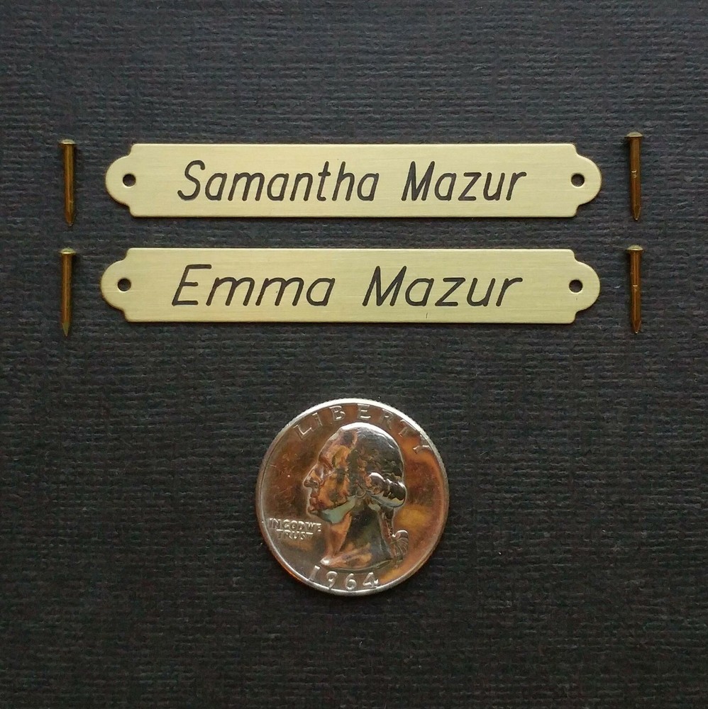 HALTER PLATE SMALL 3" x 1/2" or LARGE SADDLE PLATE SOLID BRASS CUSTOM ENGRAVED