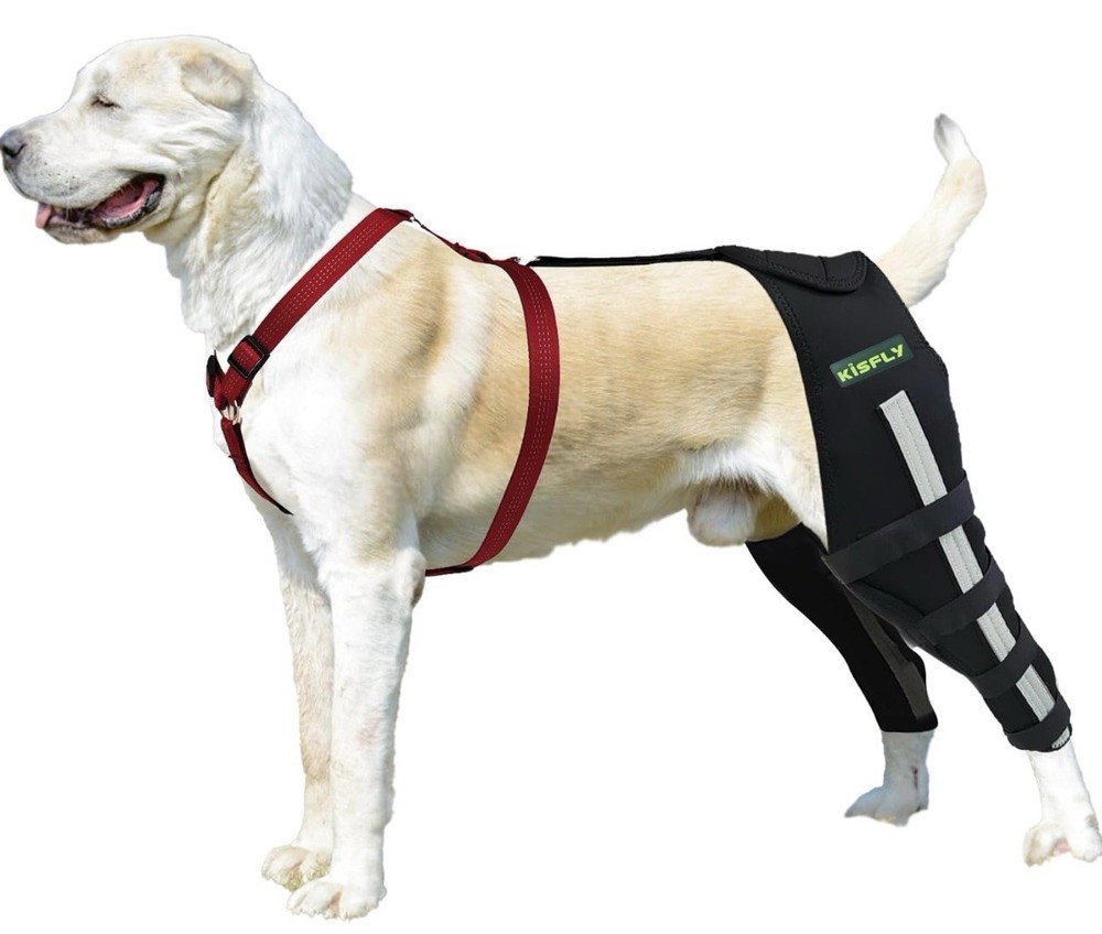 KISFLY Dog ACL Brace - Size: Medium