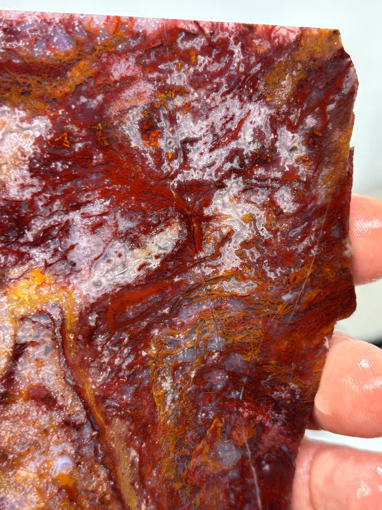 Mexican Red Moss Agate Slabs Lapidary Cabbing Combo Ship Avail
