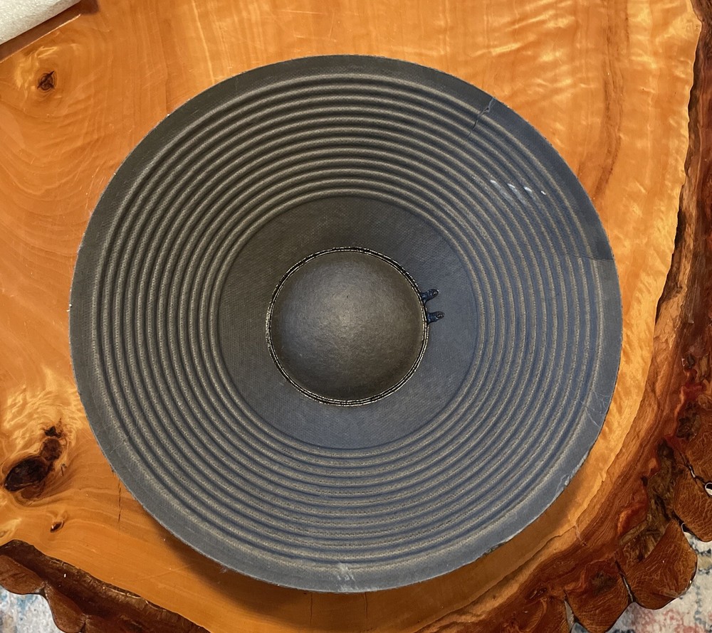 13” Ribbed Paper Foam Surround Cone