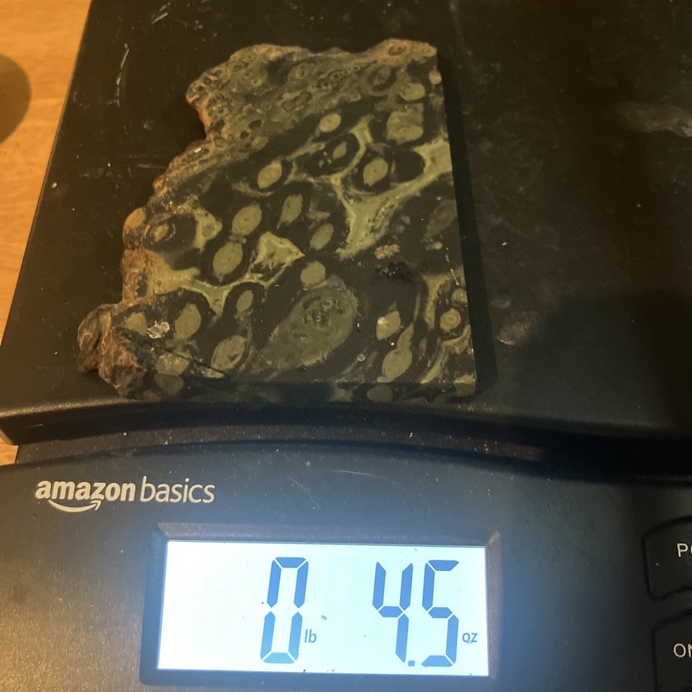 Kambaba Jasper Slab