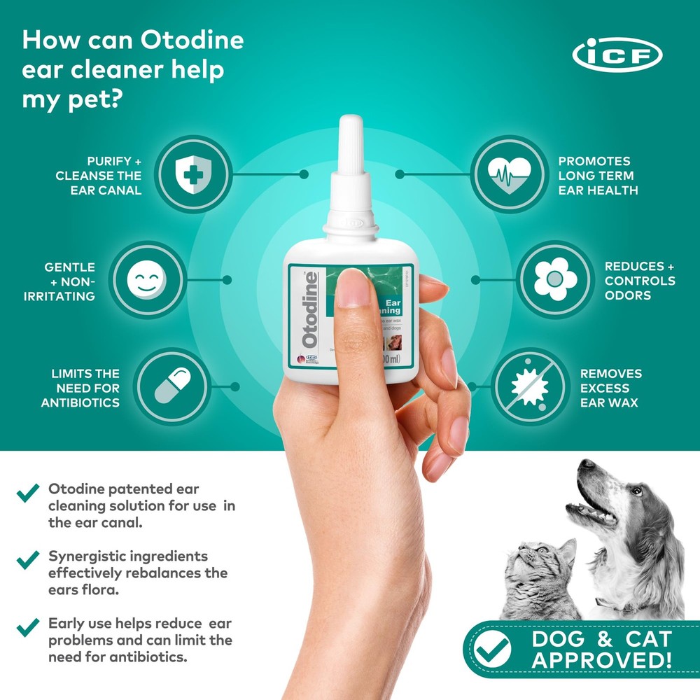 ICF Otodine Dog Ear Cleaner Solution - Veterinary Formula for Itchy Ears