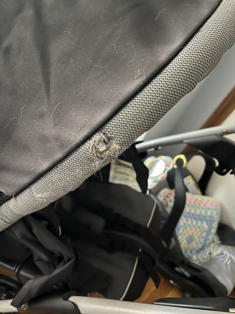 Graco Double Stroller