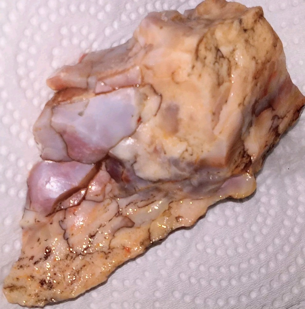 Petrified Rainbow Wood Rough AZ