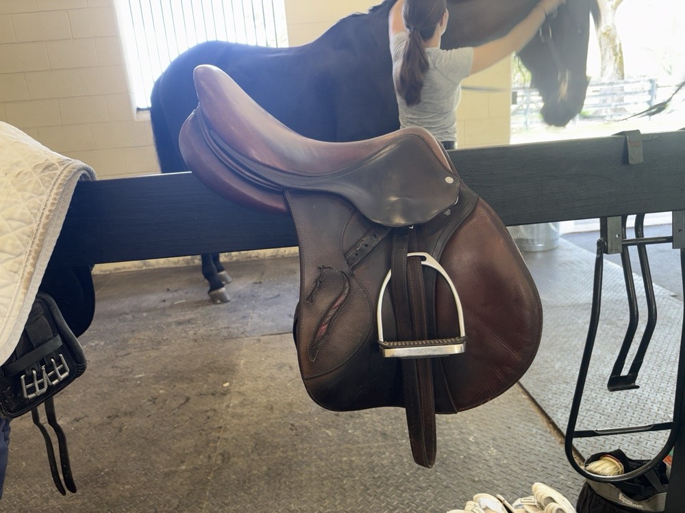 Antares connexion Saddle 17in 2AB 2017