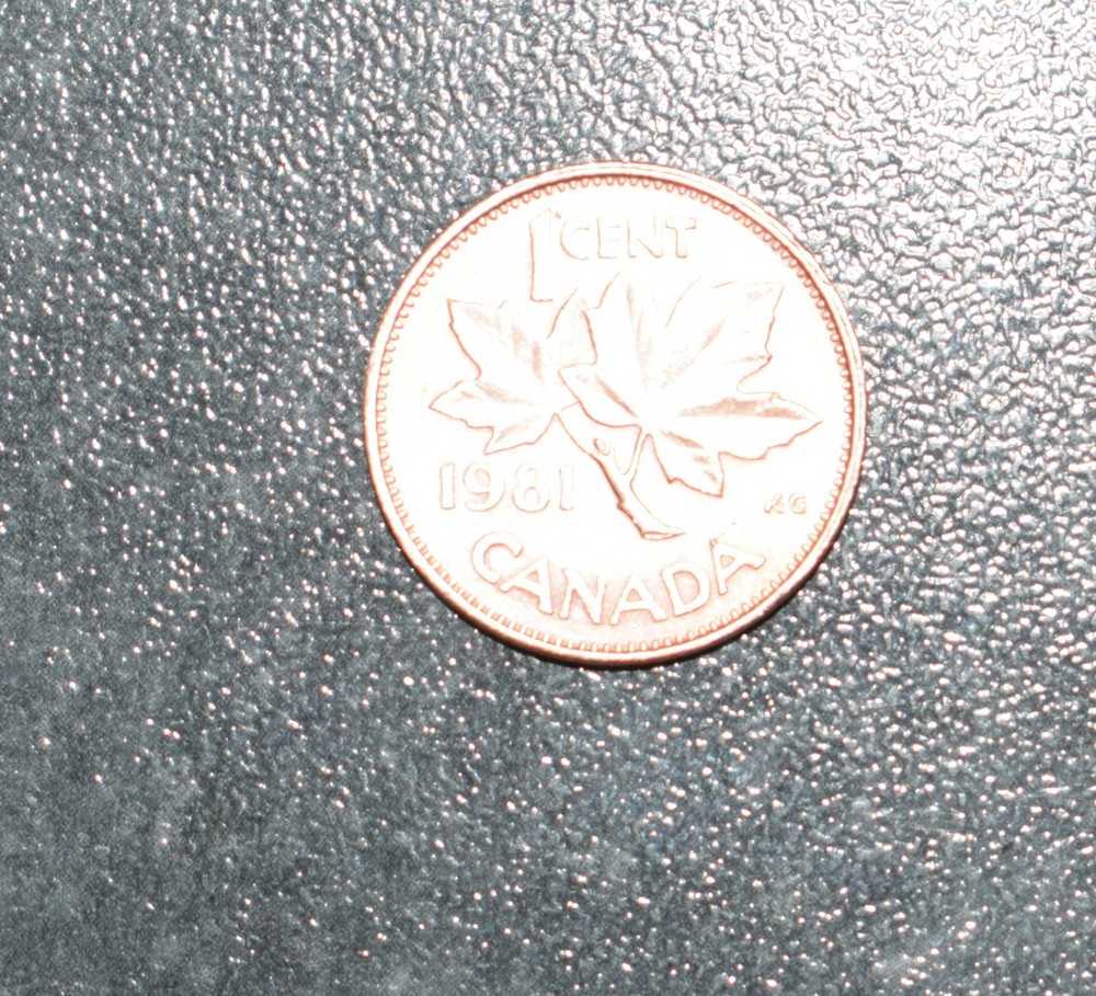 CANADA  COIN   1 cent 1981    in case  ~~L@@K~~