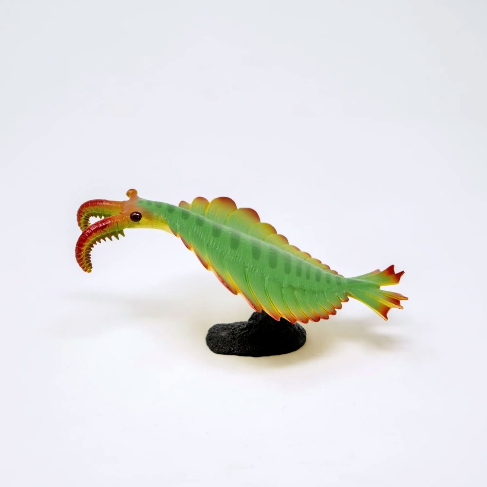 Anomalocaris Soft Model Figure Cambrian Creatures Favorite New