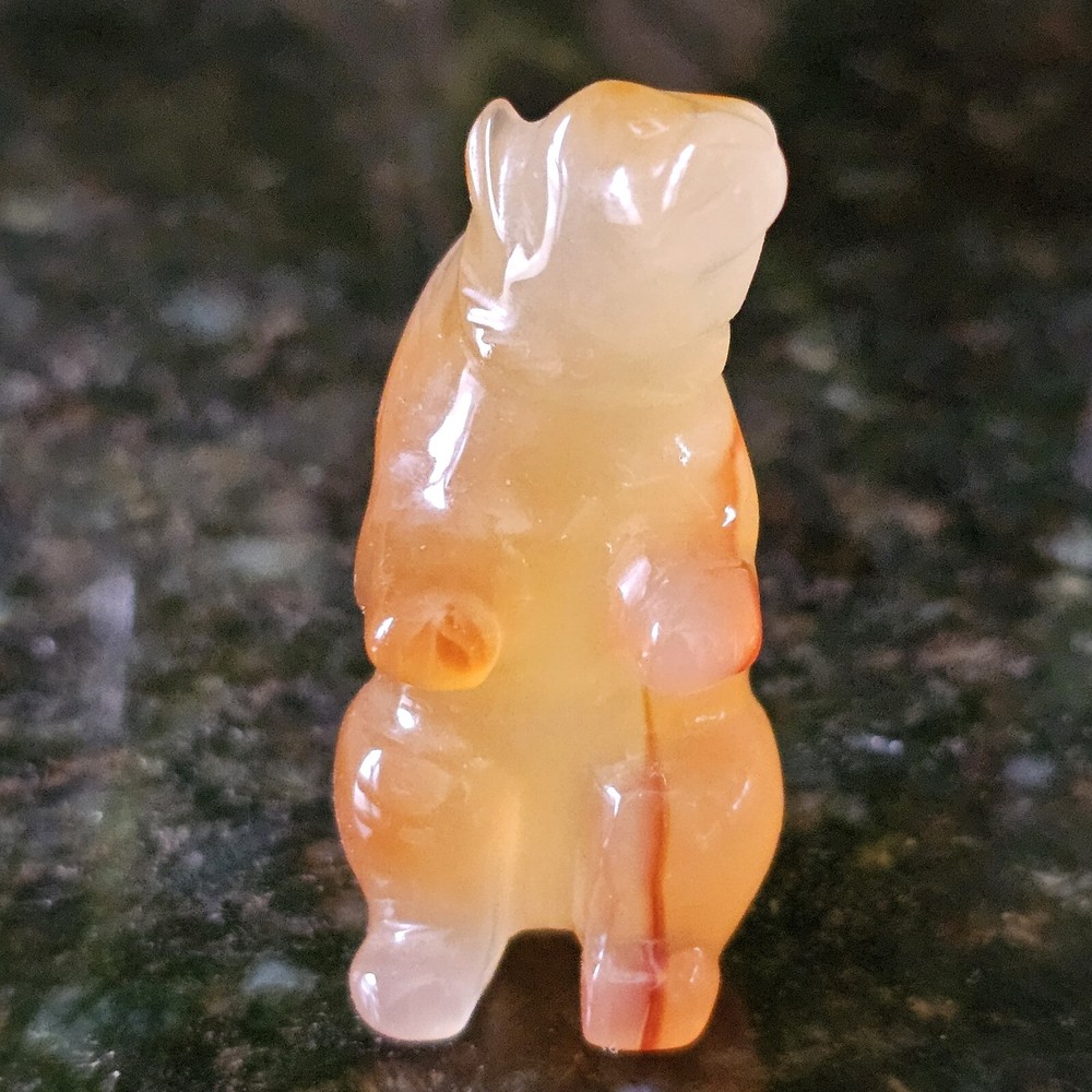 Bear Carved Carnelian Translucent Self Confidence Gemstone