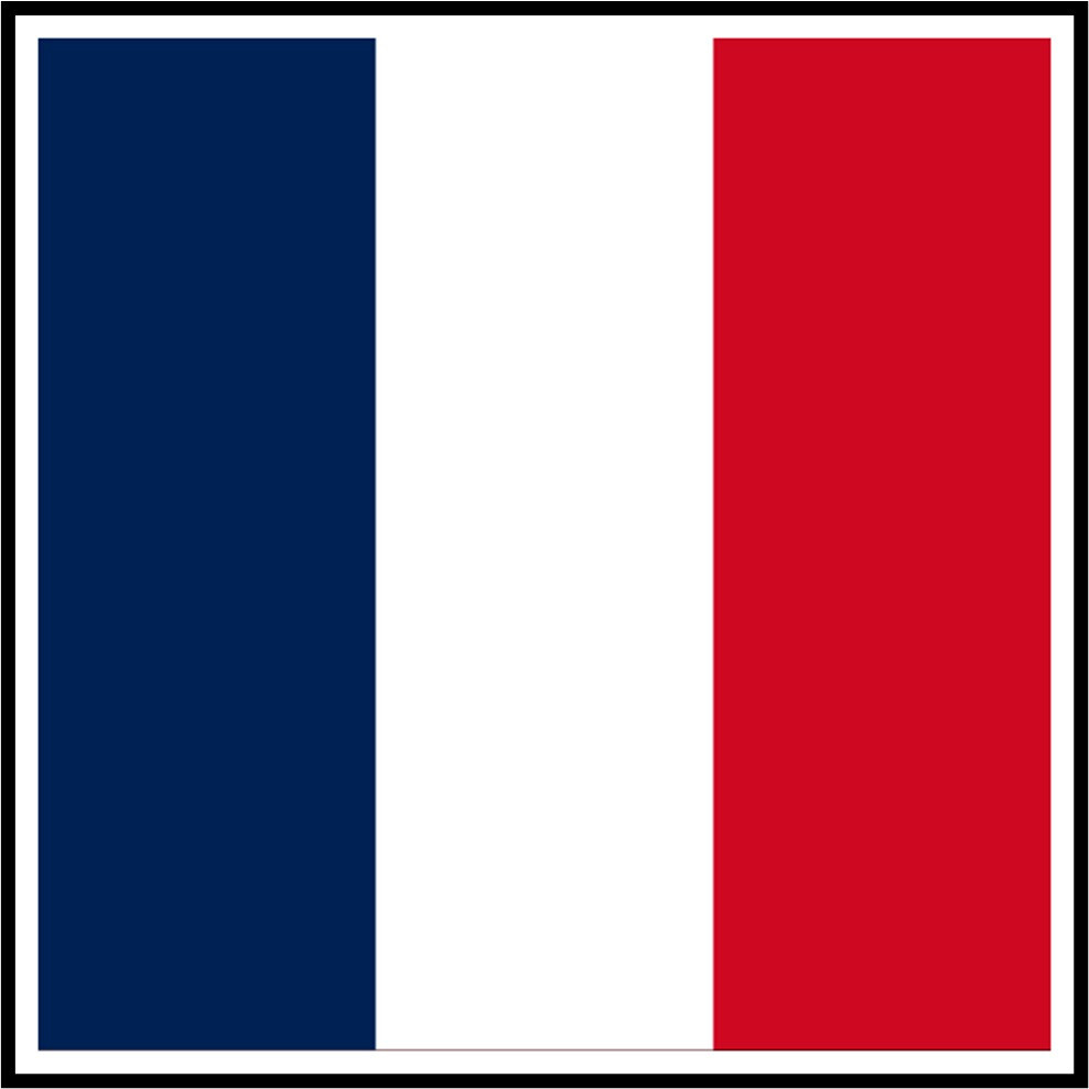 30 Custom French Flag Personalized Address Labels