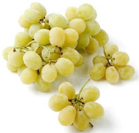 GRAPE vines  "Cottton Candy" 2 grape cuttings ( 2-3 nods)