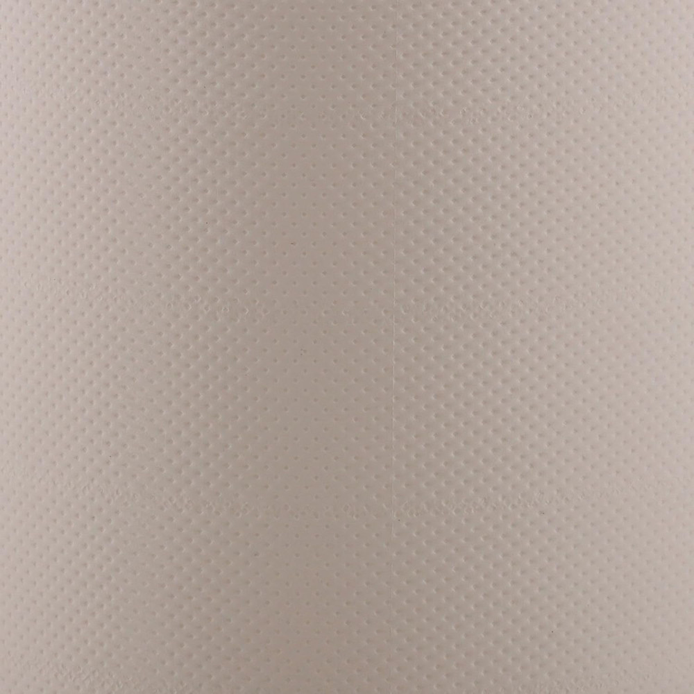 Paper Towel Perforated Center Pull Roll 1 Case(S), 1 Towels/Case