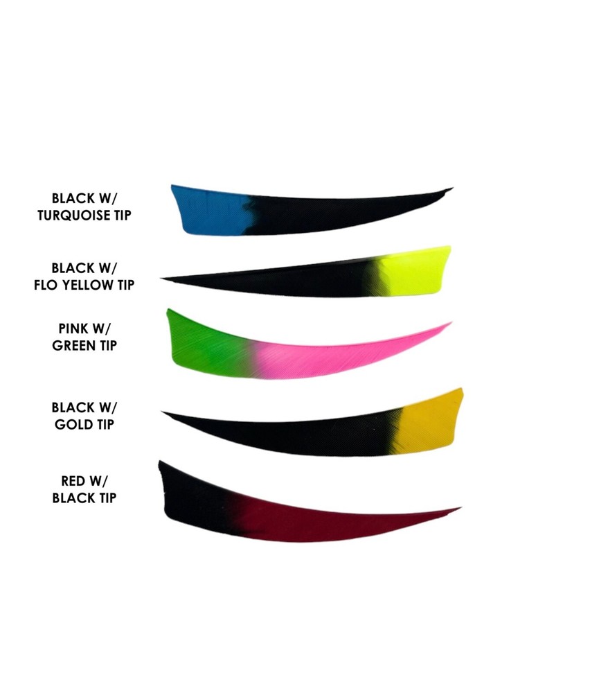 Ozark 4" Shield Cut Eagle Tip Feathers - 1 Dozen - LW and RW