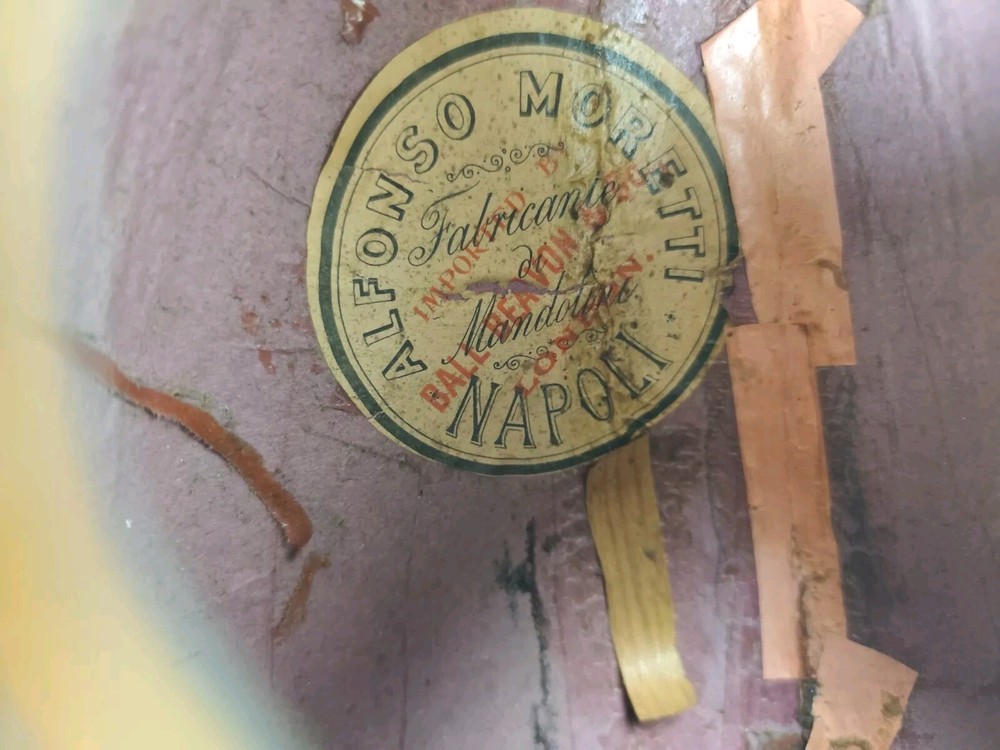 Mandolin 4/4 Alfonso Moretti 1915 Naples 曼陀林 만돌린マンドリン