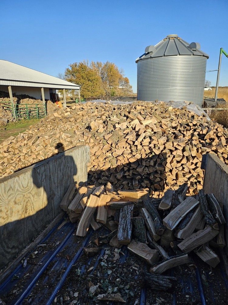 Oak Fire Wood