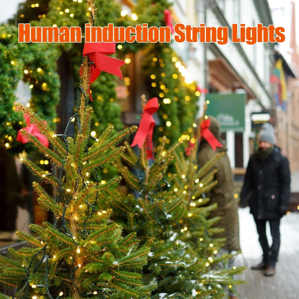 Dreicht Music Motion Sensor Color Changing Christmas String Multicolor