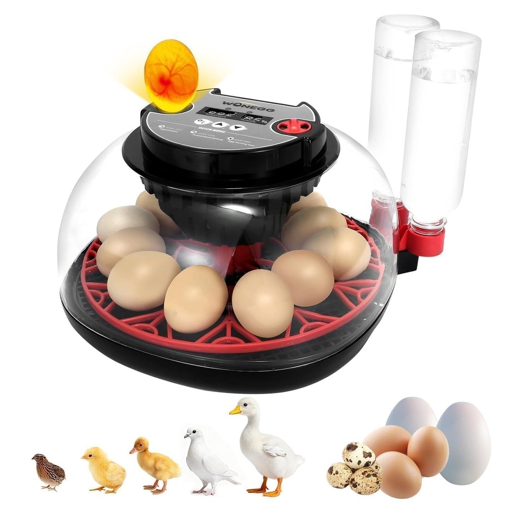 Gen II - 12 Egg Automatic Incubator, Two-Stage Humidity with Auto-Refill & St...