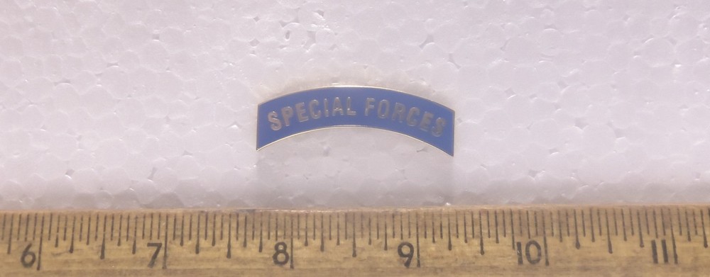 Special Forces Tab Pin