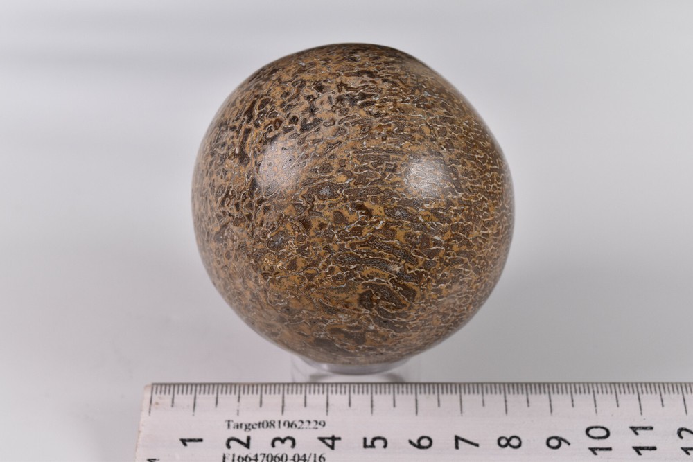 Dinosaur Bone Sphere from Morocco 7.2 cm # 20119