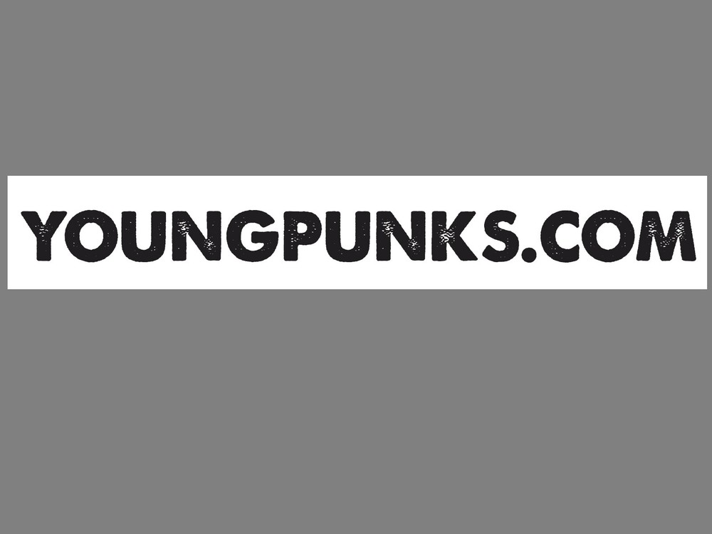 YoungPunks.com - Domain Name - Short, Sweet, Easy to Remember