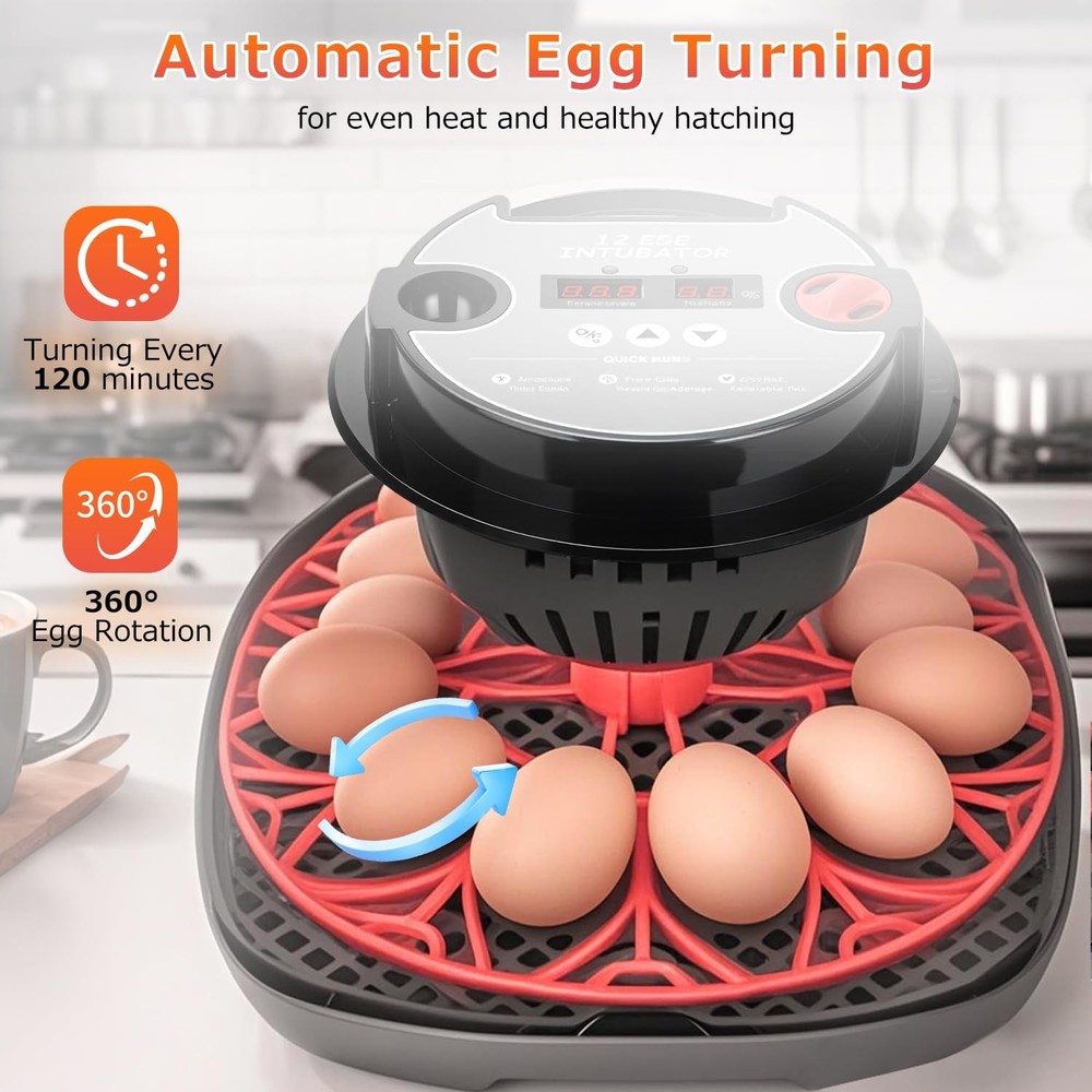 12 Egg Incubators for Hatching Eggs Automatic Egg Incubator with Temperature ...