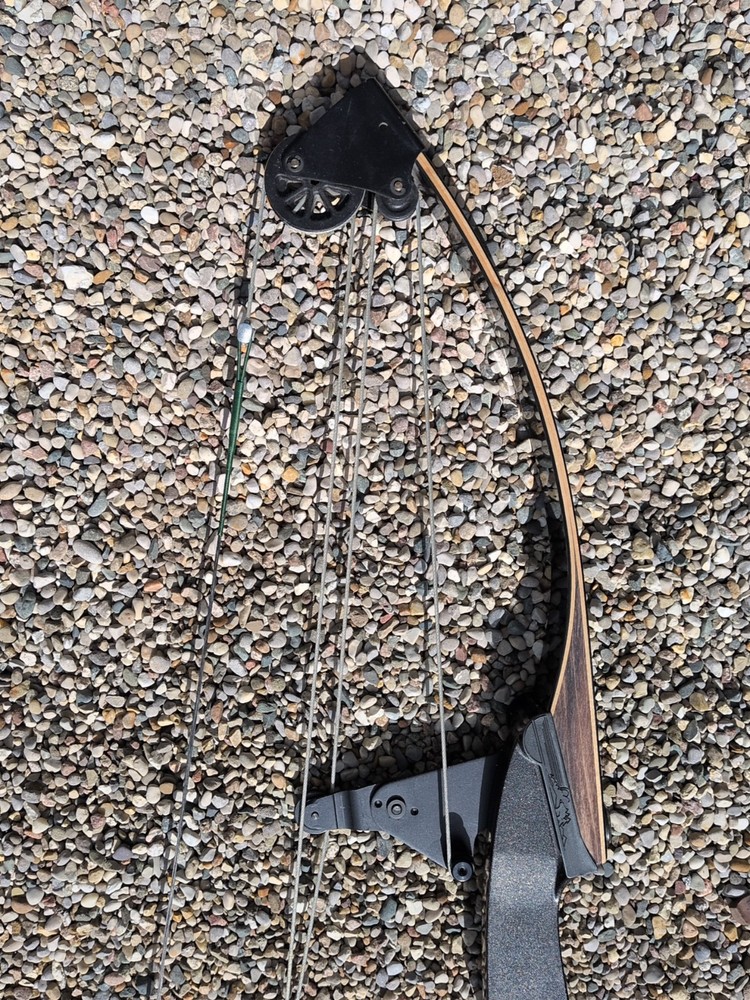 Vintage Bear Polar LTD 51" Compound Bow 39" String Length