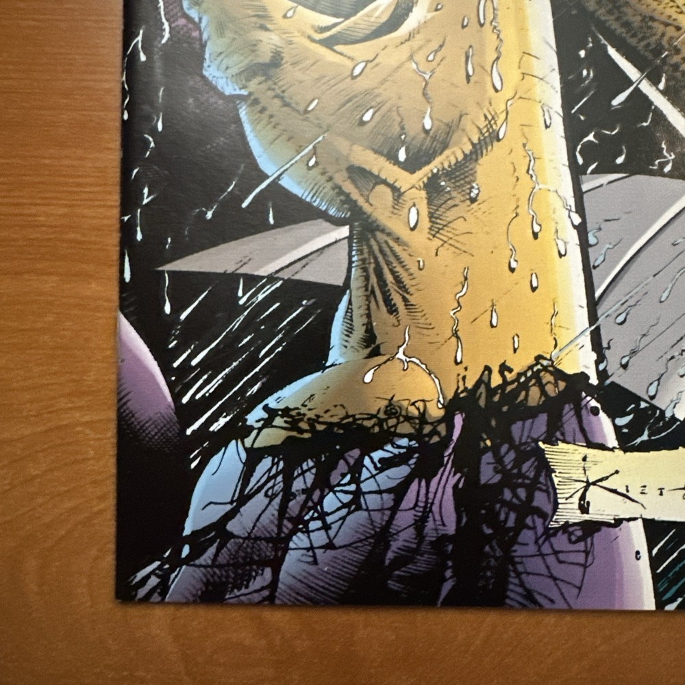 The Maxx #3 | Image Comics 1993 | Sam Kieth