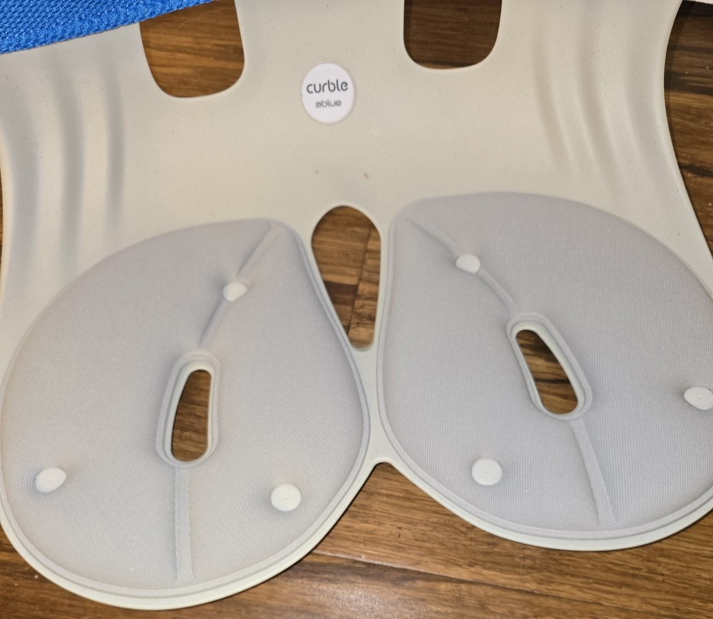 Curble Ablue Chair Back Support Posture Corrector Back Pain Relief