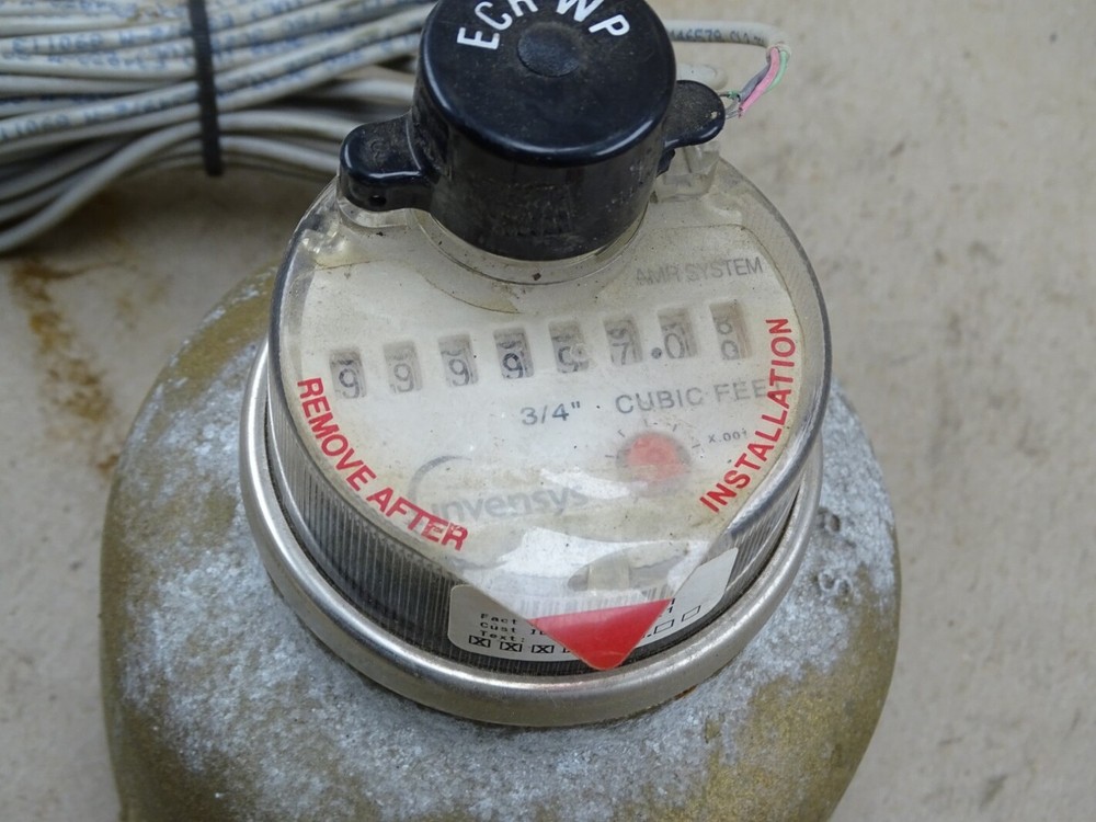Invensys SR Water Meter 3/4" ,