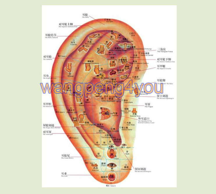 New Auricularpoints Ear Acupuncture Points Detector Electronic Acupuncture Pen