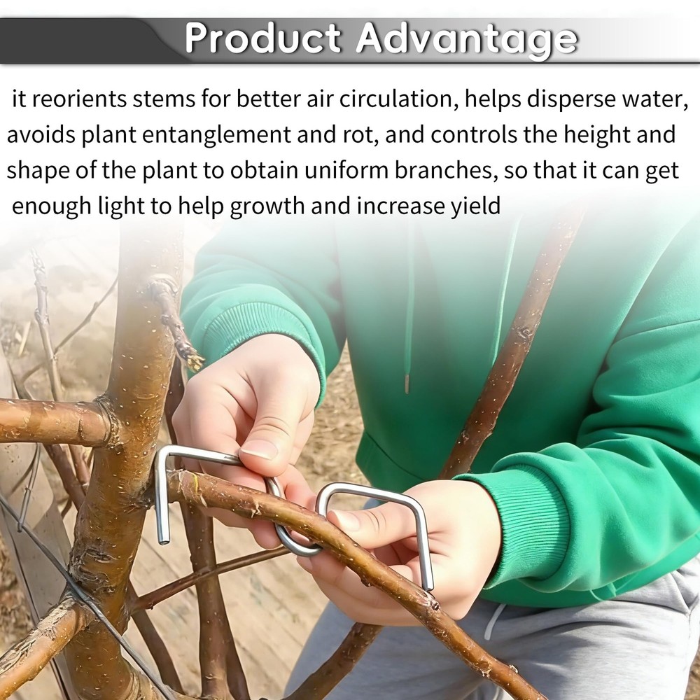 Plum Tree Open Angle Pull Branch Stereotyped Branch Bending Tool Fruit Branch...