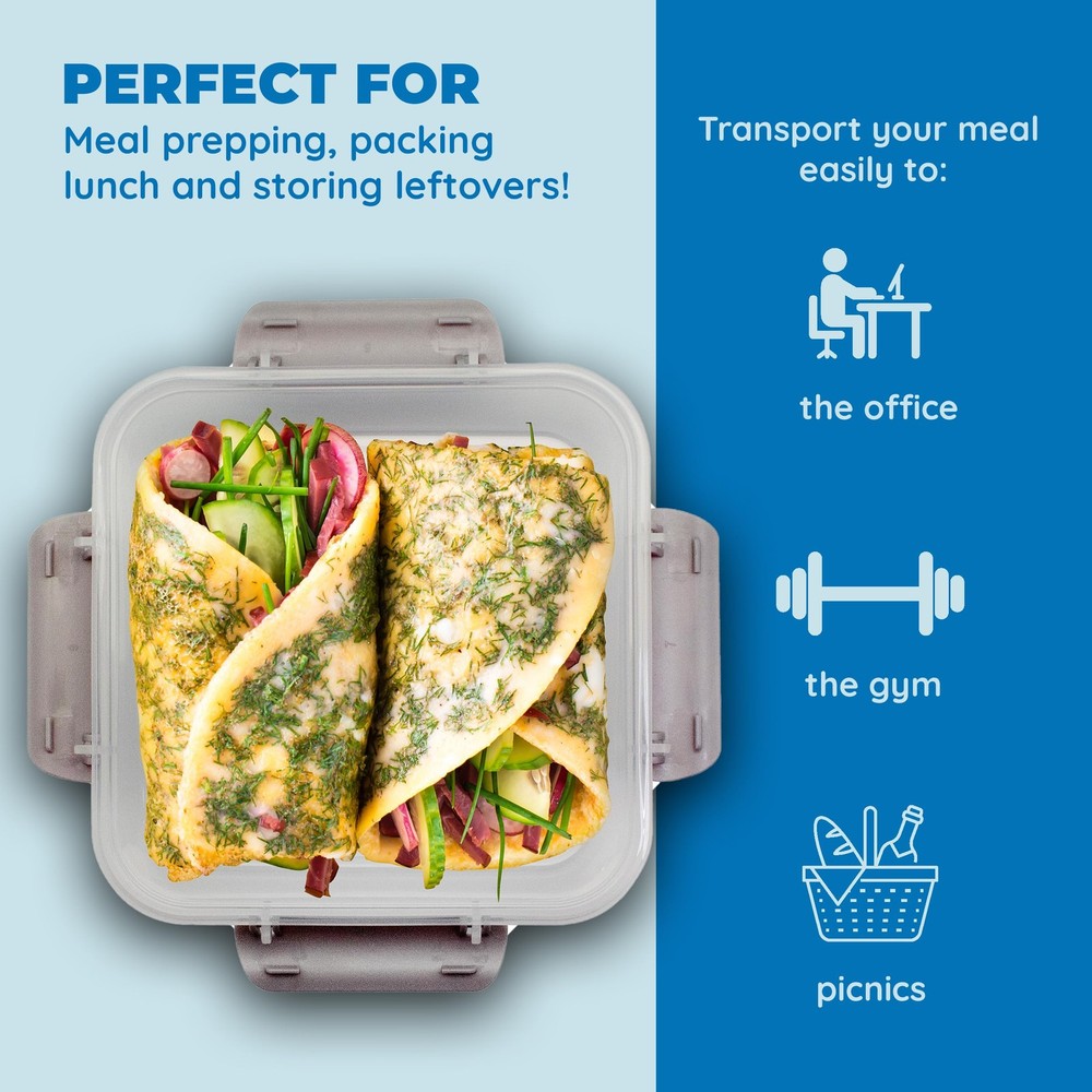 Biosmart Sandwich Container: 2 Pack Reusable, BPA Free Plastic 2 Pack, Gray