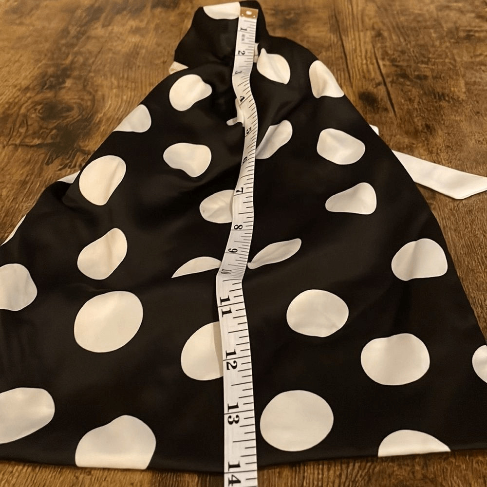 Victoria secrets undergarment bag