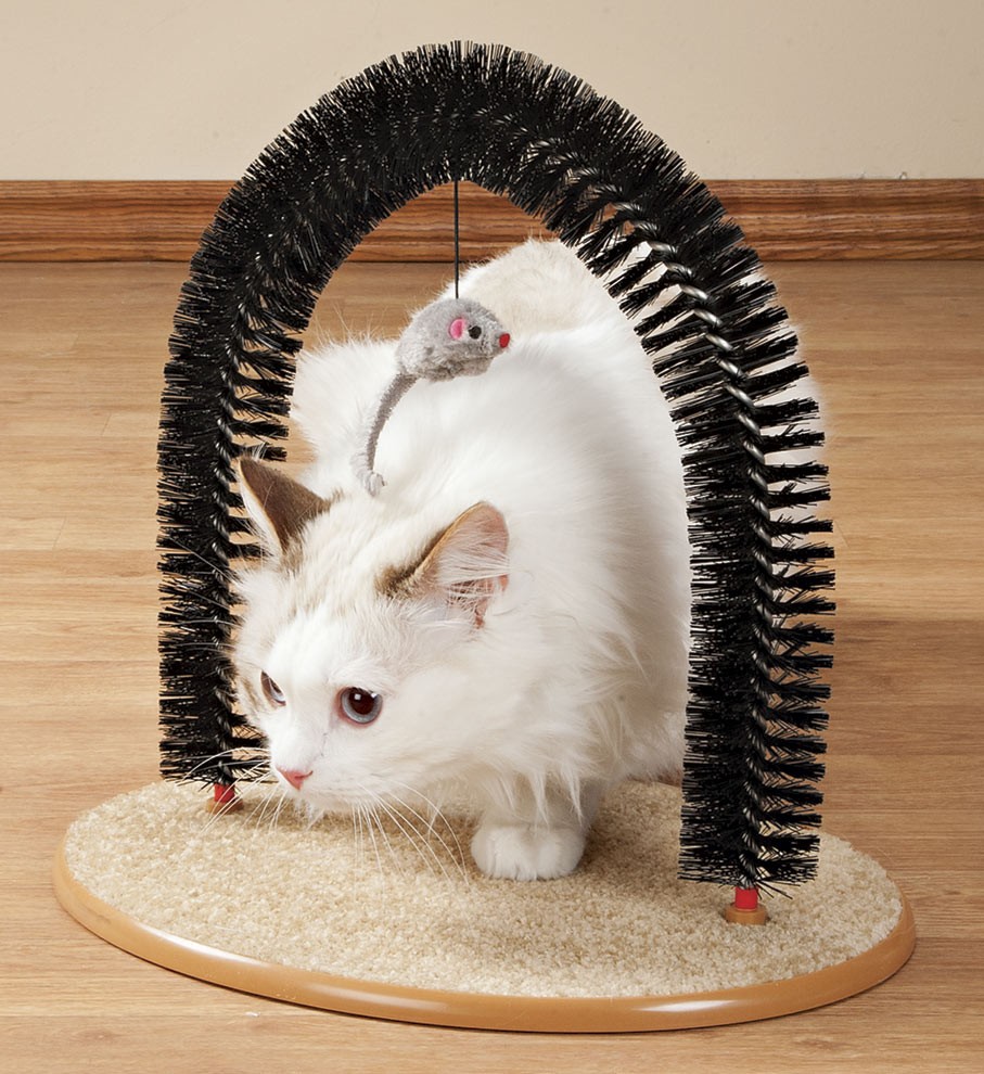 Playtime Cat Arch