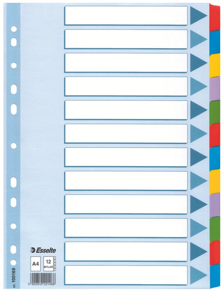 Esselte 100169 Tab A4 12 nails