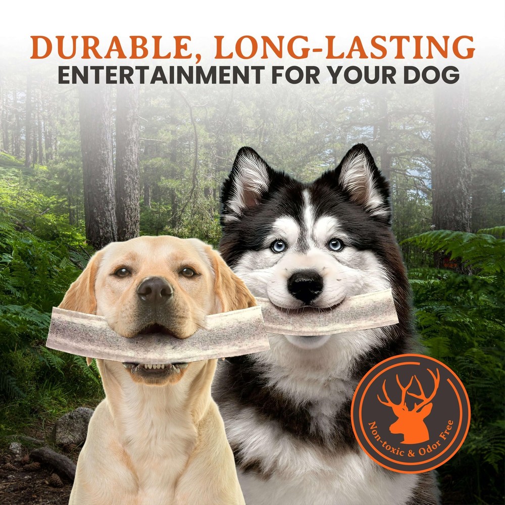 Elk Antler Chews (Large, Split)