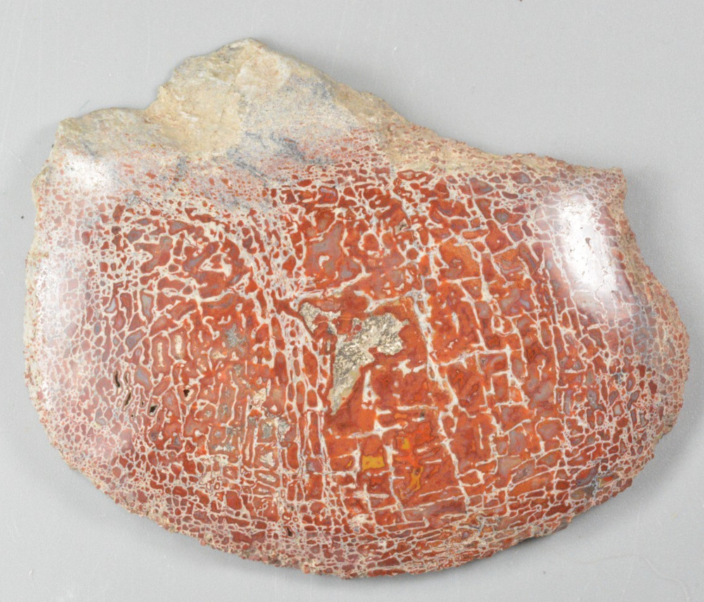 Red Agatized Dinosaur Bone, Utah, Polished,  4.1x2.9"