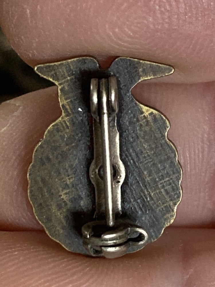 Agricultural education FFA eagle Lapel Pin K535