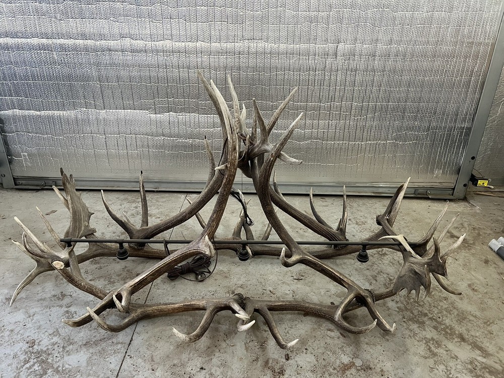 Real Antler Pool Table Light
