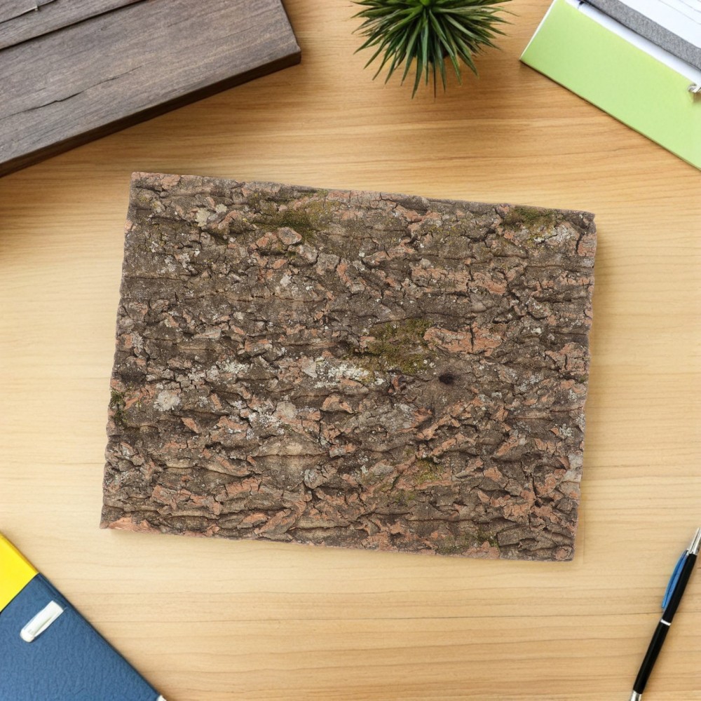 2 Pcs Reptile Decorative Accessories Backdrop for Enclosure Bark Background