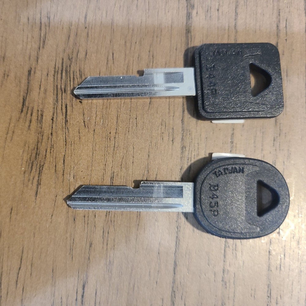 2 GM Plastic Head key blanks E-H b44p and b45p