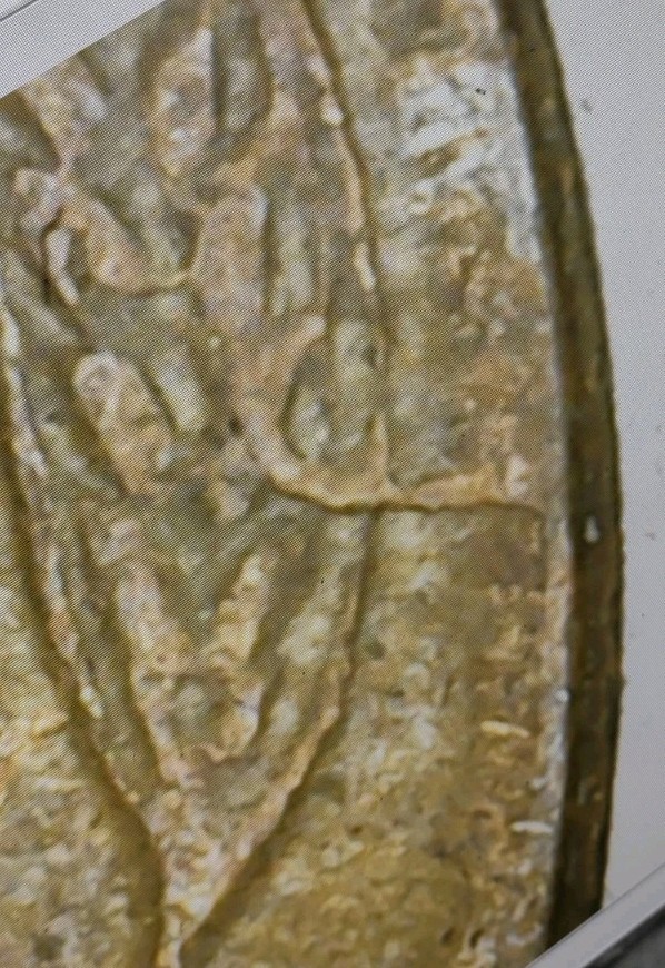 1955 Lincoln Cent Reverse Error