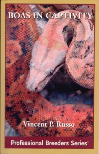 Boa Constrictors in Captivity by Vincent Russo