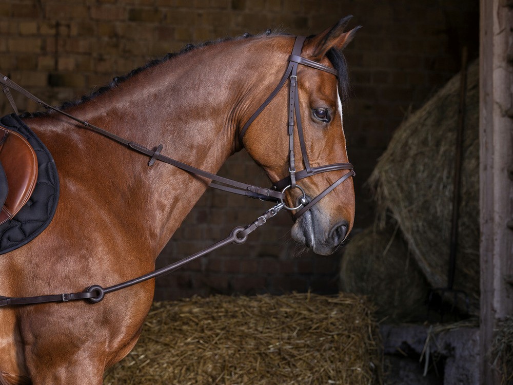 FIXED LEATHER TRAINING KERNELS WITH RUBBER TIE ELASTIC SIDE REINS
