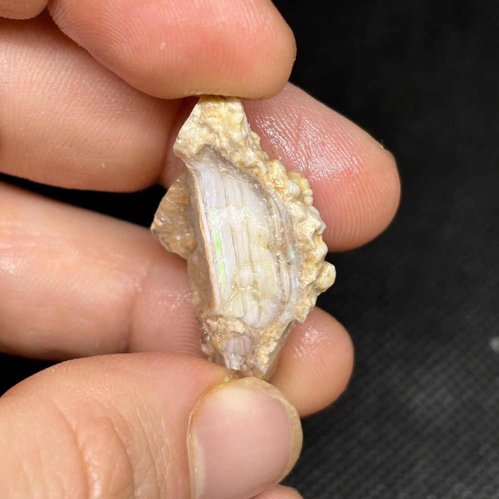 Long Color Barred Spencer Idaho Rough Opal Parcel