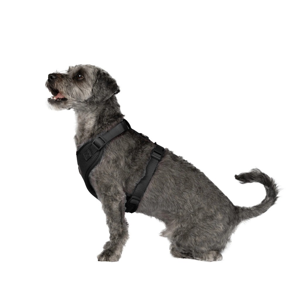 Mesh Adjustable, Reflective Dog Walking Harness, Black, Small