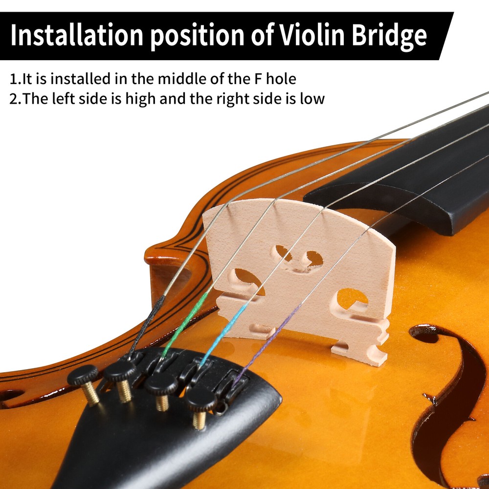 4/4 Violin Set with Case Bow Shoulder Rest Rosin Strings Bridge Sordine